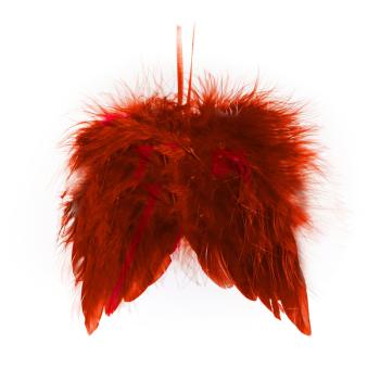 ANJELSKÉ KRÍDLO BORDOVÉ PIERKO