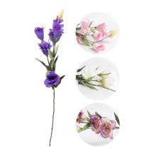 UMELÝ KVET LISIANTHUS