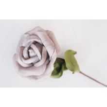 FOAM ROSE GREY