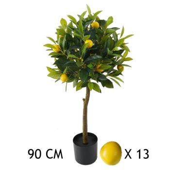 CITRÓNOVNÍK S 13 PLODMI