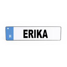 POZNÁVACIA ZNAČKA "ERIKA"